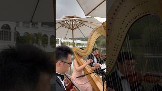 A Thousand Years  Harp Violin amp Cello Trio harphk harp hkweddingharpist athousandyears [upl. by Hajed442]