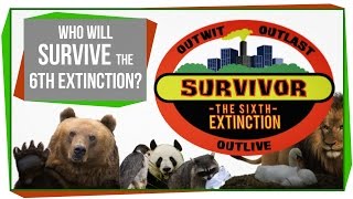 Who Will Survive The 6th Mass Extinction [upl. by Nylaroc]