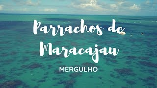 PARRACHOS DE MARACAJAÚ Um mergulho imperdível no Caribe brasileiro  RN [upl. by Peta700]