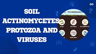 Soil actinomycetes protozoa and viruses microbes microorganisms [upl. by Alveta]