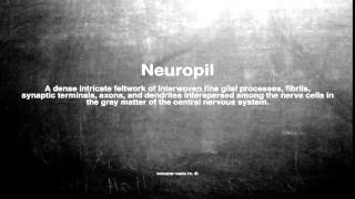 Medical vocabulary What does Neuropil mean [upl. by Assiron302]