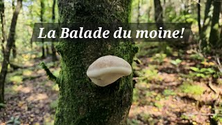 La Balade du Moine des bois [upl. by Atilrep825]