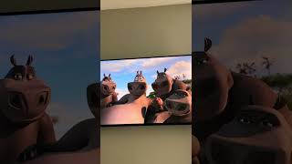 Moto moto madagascar madagascar2 motomoto movie peliculas movieclips [upl. by Ulita]