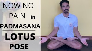 No more pain in padmasana  how to do padmasana  lotus pose step by step step  correction of asana [upl. by Lael]