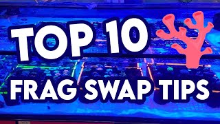 Top 10 Frag Swap Tips [upl. by Sheppard]