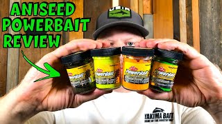 Aniseed Trout Powerbait Review amp 5 Tips to Catch More Trout [upl. by Anitsyrk412]