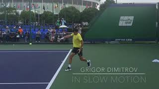 Grigor Dimitrov  Forehand amp Backhand in Slow Motion TENFITMEN Shanghai Masters 2017 [upl. by Akinot]