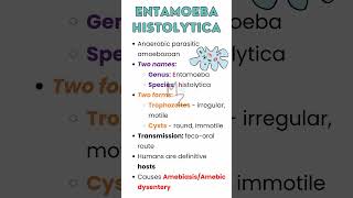 ENTAMOEBA HISTOLYTICA in detail ameba medzukhruf parasitology parasite medicalmicrobiology [upl. by Humbert]