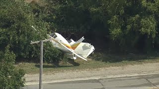 Eyewitness describes seeing plane go down in Roselle [upl. by Vitia]