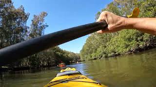 Kayaking Glenworth Valley’s Popran river NSW [upl. by Mayne]