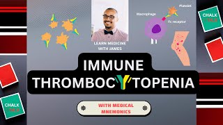 Immune Thrombocytopenic Purpura ITP [upl. by Einolem]