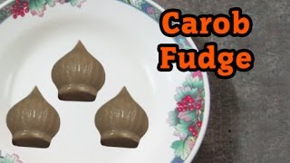 Carob Fudge हिंदी [upl. by Candless799]