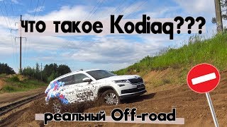 Настоящий Оффроуд Шкода Кодиак SKODA Kodiaq Тест Драйв обзор отзыв [upl. by Naujit]