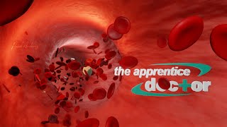 Blender 283 Medical Animation  Aortic Compliance  Windkessel Effect [upl. by Odrawde]