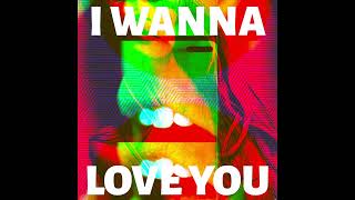 Akon  I Wanna Love You IBARA REMIX [upl. by Blake]