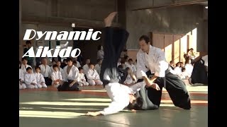 Dynamic Aikido Demonstration in Sendai 2019 [upl. by Yrbua]