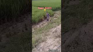 SalaDiwalime hagne nahidetahai trending funny shorts viral comedy diwali new [upl. by Okramed566]