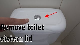 How to remove toilet cistern lid  Dual flush buttons [upl. by Akeirahs]