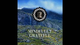 Mindfully Grateful  A Stoic Meditation on Gratitude [upl. by Ahsiad671]