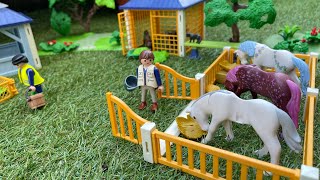 Country farm Playmobil diorama [upl. by Atnod]