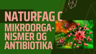 Mikroorganismer virus bakterier og antibiotika [upl. by Fanchette]