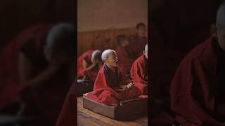 Young Monks life in Buddhist Monastery in Bhutan Dechenphodrang rituals bhutan buddhism monk [upl. by Dorran]