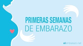 Primeras semanas de embarazo  El embarazo semana a semana [upl. by Frolick56]