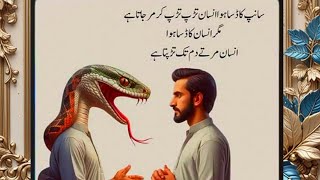 Aqwal E Zareen in Urdu  Urdu Quotes  Achi Achi Batian [upl. by Aridatha]