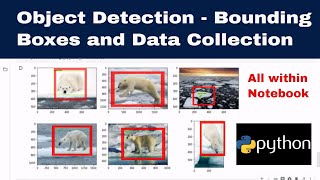 Object Detection  Data Collection and Bounding Boxes using Python [upl. by Urbai932]