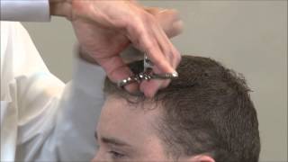 How To Cut Curly Hair With Barber Shears [upl. by Mirella]