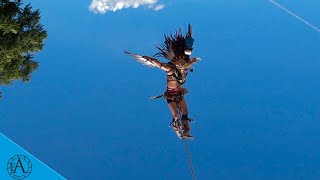 LA DANZA MÁS INCREIBLE DE MÉXICO quotDANZA DE LOS VOLADORESquot DANZA RITUAL MILENARIA [upl. by Ynahpets]