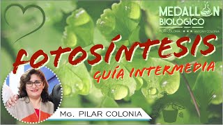 ✅🌳FOTOSÍNTESIS CONCEPTOS BÁSICOS GUÍA INTERMEDIA con el MEDALLÓN BIOLÓGICO 👌🙌 [upl. by Noivert]