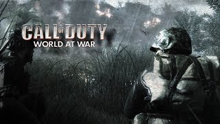 Call of Duty World at War  Blowtorch and Corkscrew  Veteran Difficulty  PCPS3X360Wii [upl. by Okiruy]