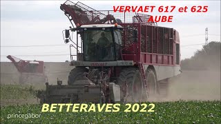 BETTERAVES  VERVAET 617 et 625 BEET EATER  AUBE 07oct 2022 [upl. by Essyla]