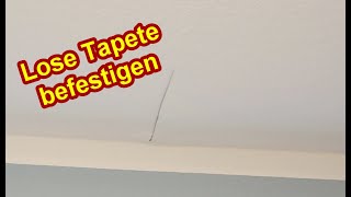 Lose Tapete befestigen  Tapete löst sich am stoß – Gelöste Tapeten Kante kleben  Naht ausbessern [upl. by Alle]