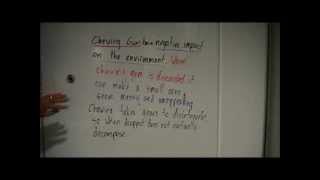 Writing a Middle School Essay Episode 2 Composing a Persuasive Paragraph [upl. by Jim287]