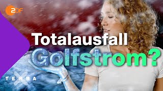 Aus für den Golfstrom Droht Europa die nächste Eiszeit  Terra X plus [upl. by Enner]