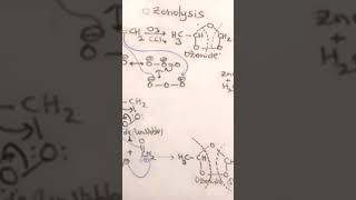 ozonolysis of Alkenes mechanism [upl. by Bocyaj471]