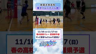 春高バレー2024意気込み動画 [upl. by Analahs711]