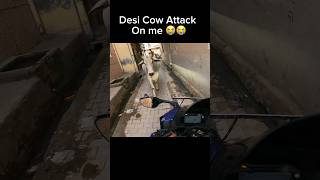 Desi cow attack on me shortsviral shortsfeed shortsvideo r15lover viral shorts [upl. by Annuahsal457]