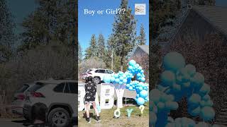 Airplane Gender Reveal  🛩️💙💖 Is it a BOY or a GIRL event genderreveals airplanegenderrveal [upl. by Amapuna264]