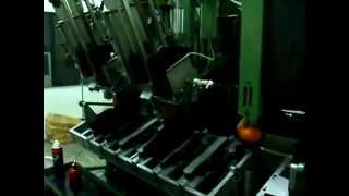 Brush making machine Borghi A2PCNC [upl. by Haraj]