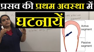 Events in the First stage of Labour in Hindi हिंदी  Physiology in 1st stage of Normal Labour [upl. by Sybley]