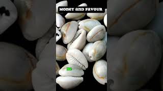 Cowries Money Charm [upl. by Amekahs]