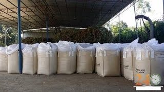 Filling and packing of silage in Jumbo bag [upl. by Buderus806]