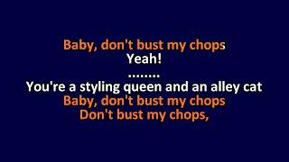 Ramones  Dont Bust My Chops  Karaoke Instrumental Lyrics  ObsKure [upl. by Lechner476]