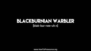 How to Pronounce quotblackburnian warblerquot [upl. by Ahsyia]