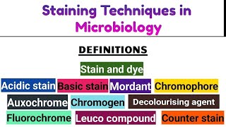 🎨Staining Techniques in Microbiology by Dr Pooja Kakde EnglishMarathi university [upl. by Llennhoj]