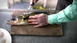 Jigging Tips for Walleye on the Rocks [upl. by Duester]