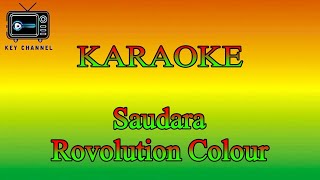 KARAOKE Reggae Saudara  Rovolution Colour [upl. by Daenis]